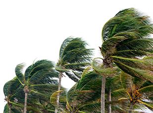 Hurricane / Windstorm